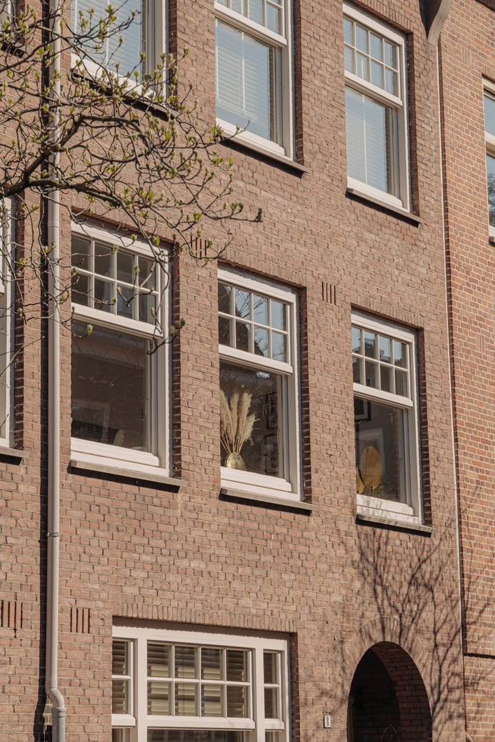 Foto 2 van Amazonenstraat 8-1