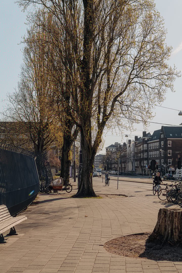 Foto 19 van Amazonenstraat 8-1