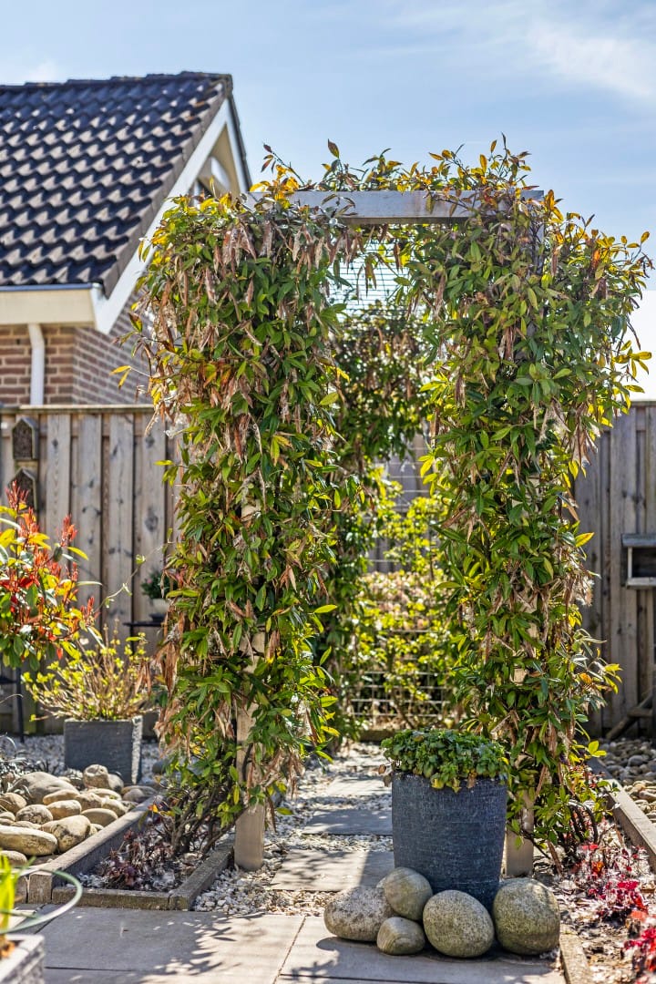 Foto 45 van Zeegravensingel 50