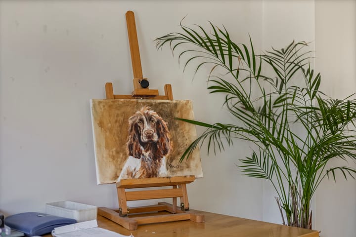 Foto 14 van Willem III-laan 4