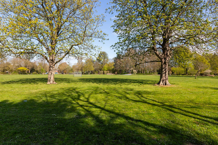 Foto 45 van Leliestraat 25