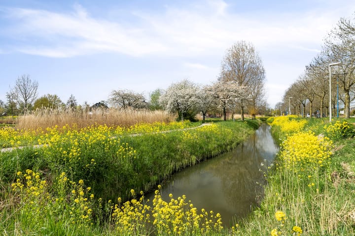 Foto 33 van Maria Tesselschadestraat 3