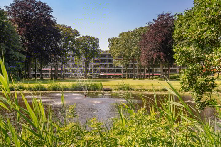 Foto 1 van Stoeplaan 11-F13