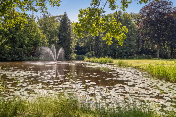 Foto 2 van Stoeplaan 11-F13