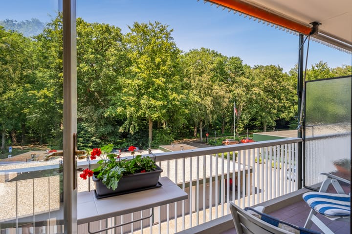 Foto 23 van Stoeplaan 11-F13