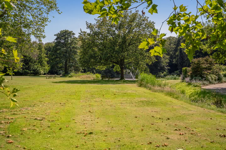 Foto 33 van Stoeplaan 11-F13