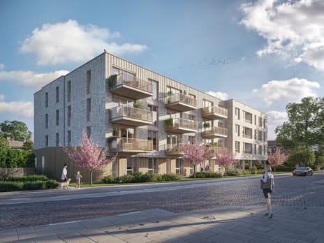 De Heraut secondary image