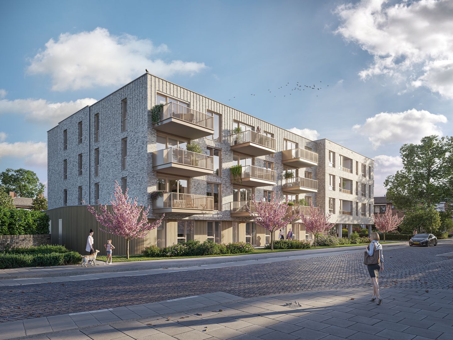 Foto 2 van De Heraut