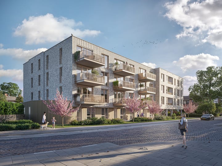 Foto 2 van De Heraut