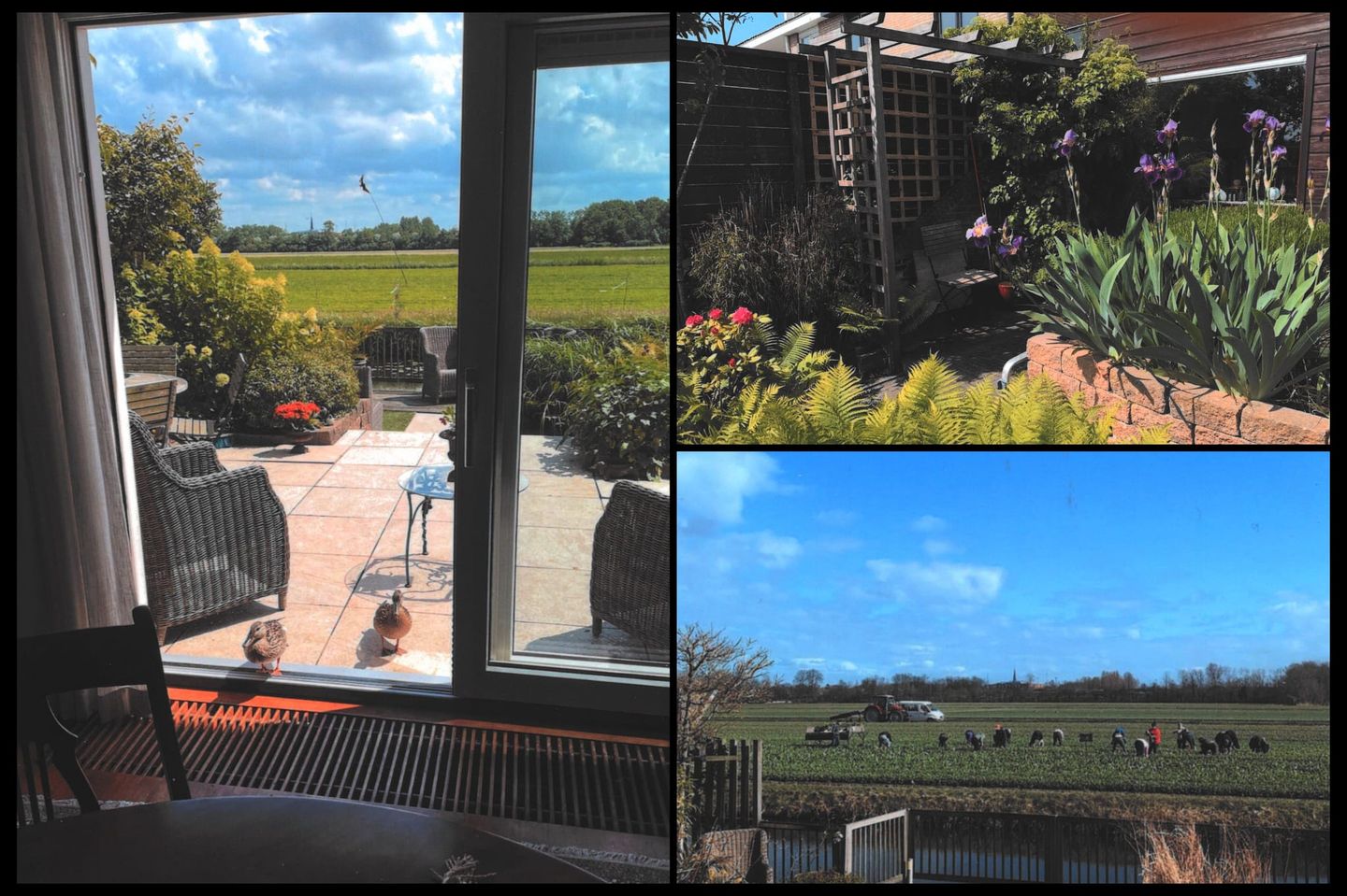 Foto 59 van 2e Loosterweg 169