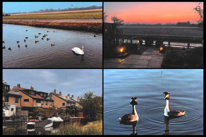 Foto 60 van 2e Loosterweg 169