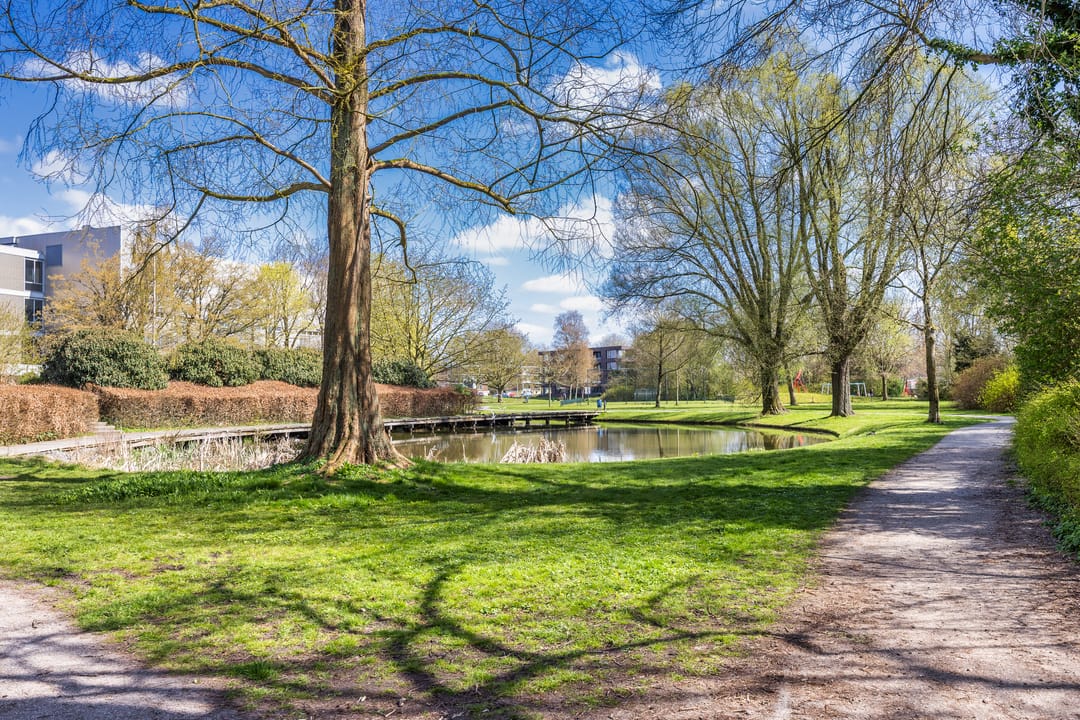 Foto 32 van Nicolaas Tulpstraat 11