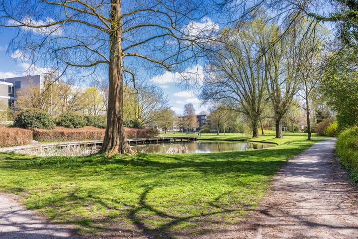 Foto 32 van Nicolaas Tulpstraat 11