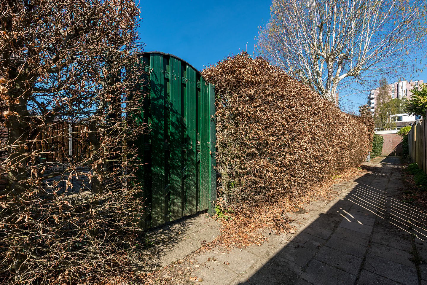 Photo 34 of Egstraat 17