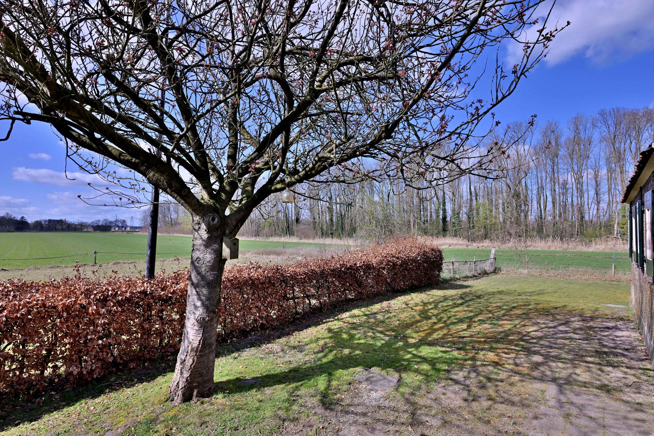 Foto 48 van Hagenvoorderdijk 3