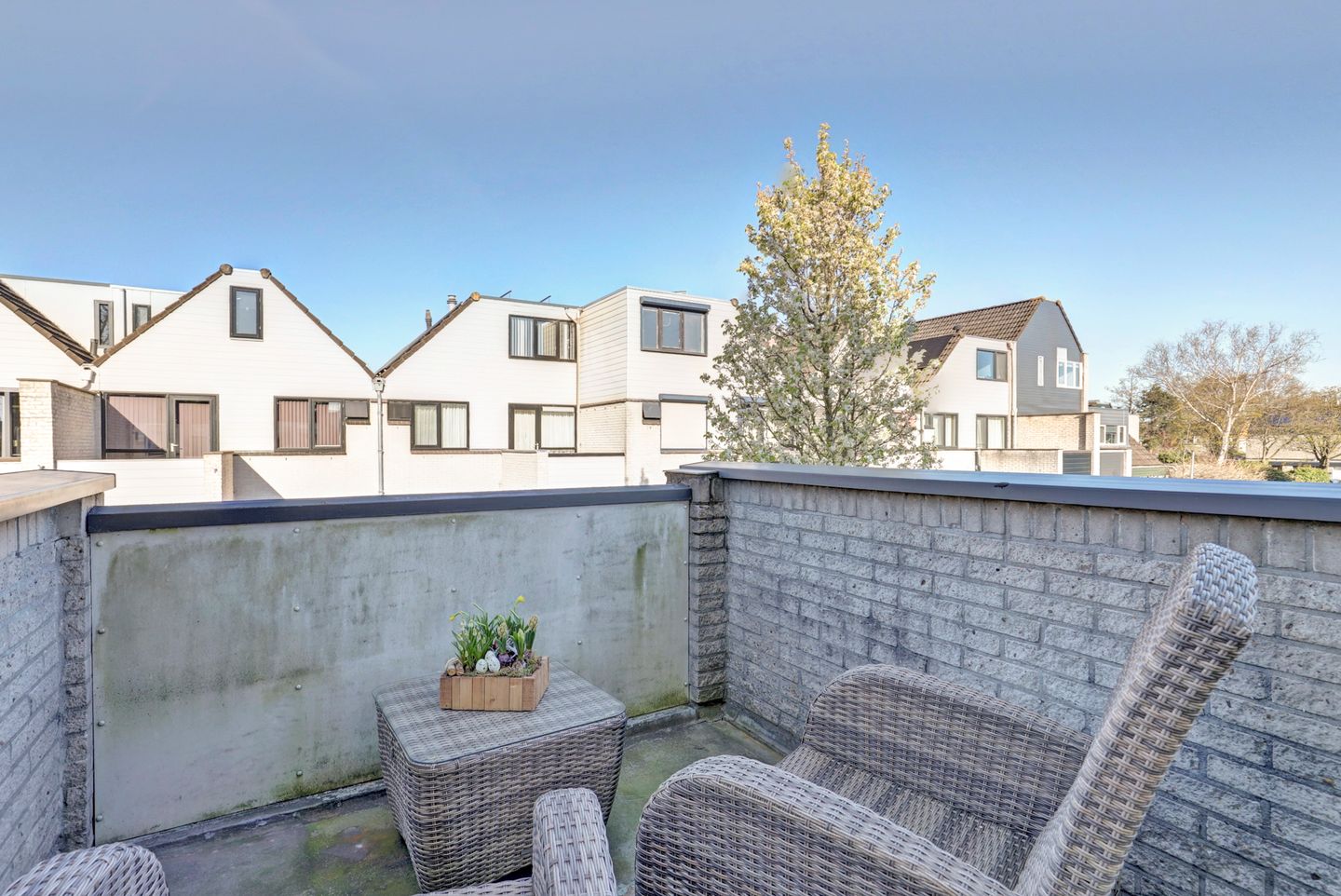 Foto 34 van Karperveen 587