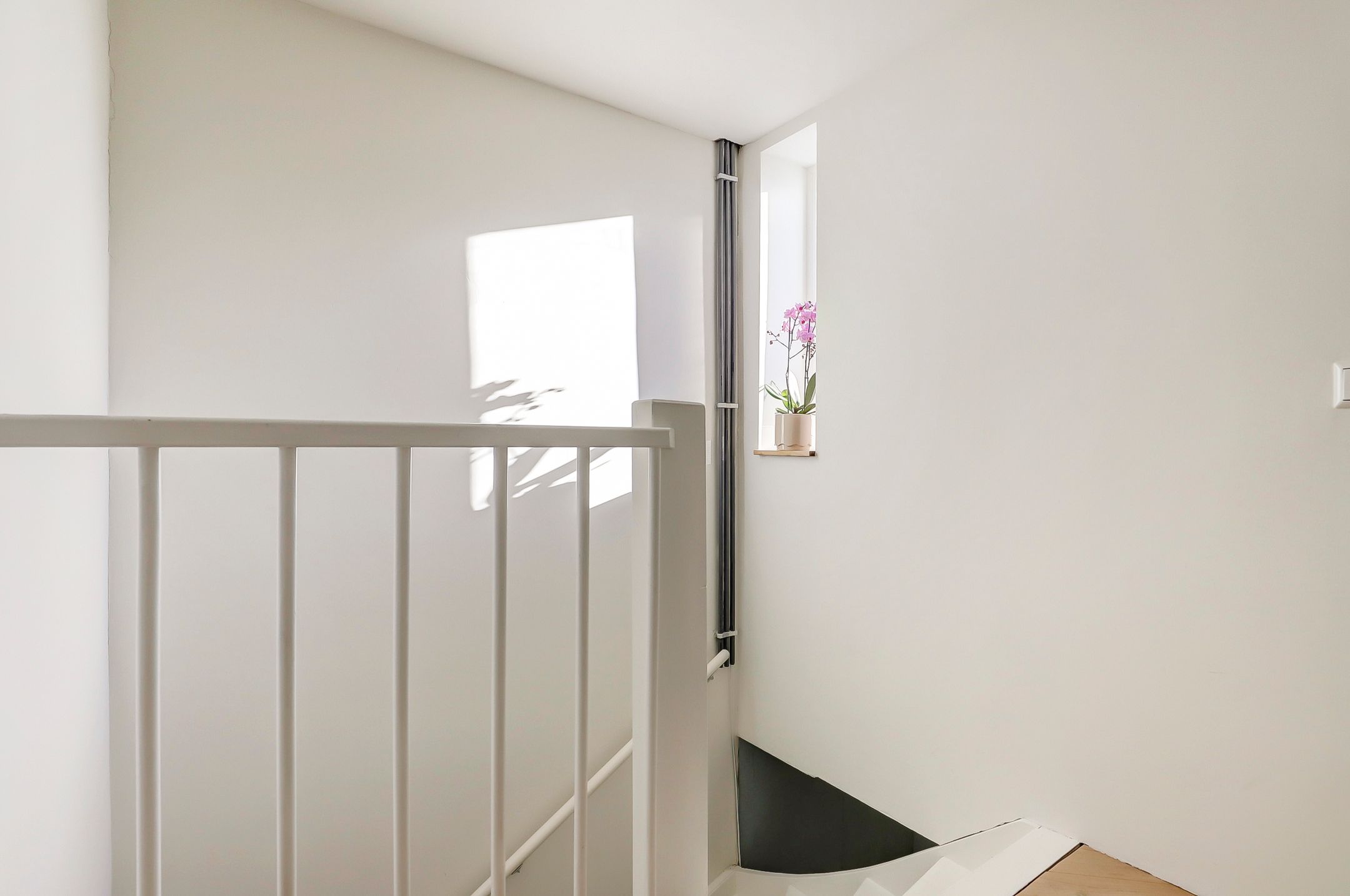 Foto 36 van Karperveen 587