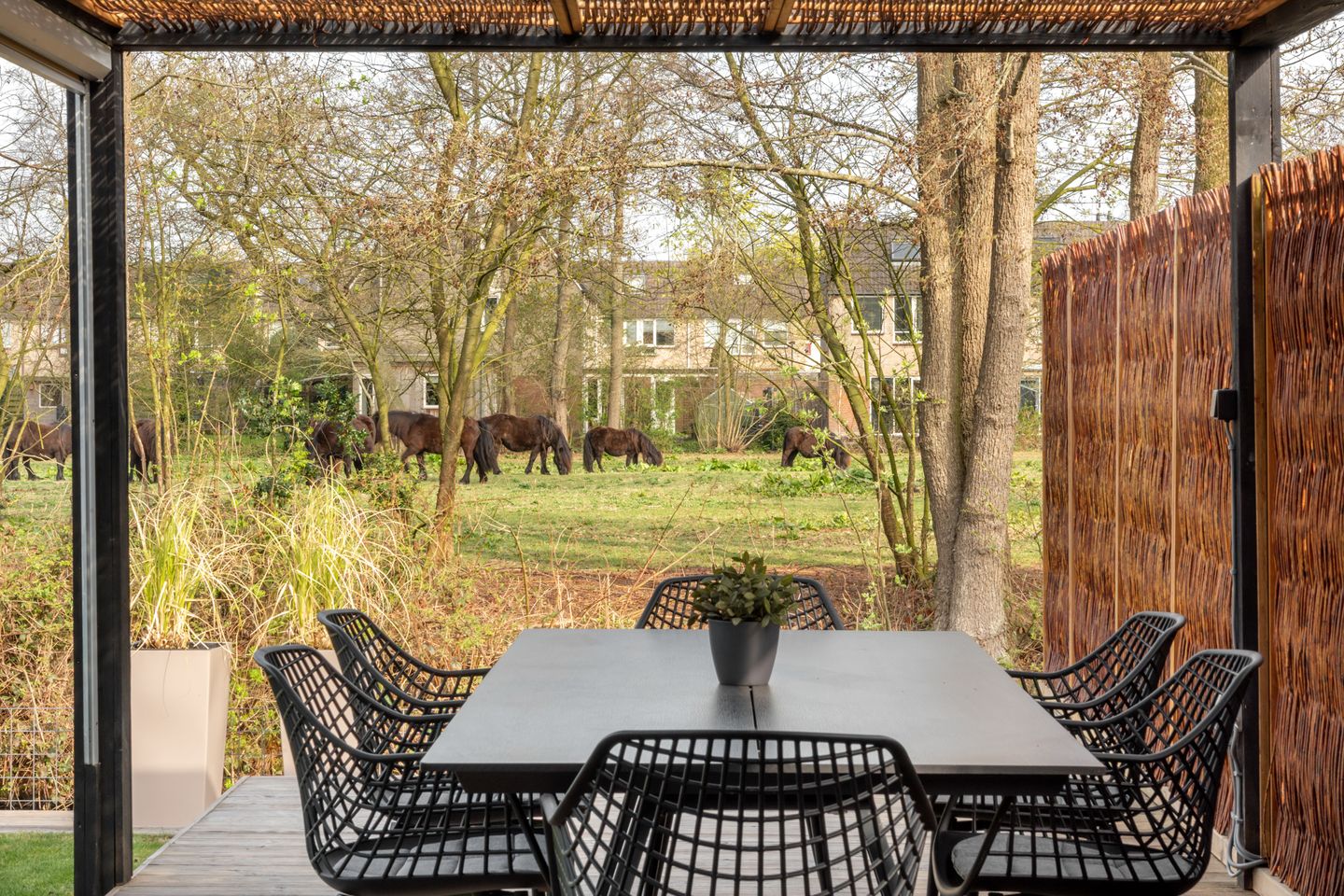 Foto 10 van De Excelsior 32