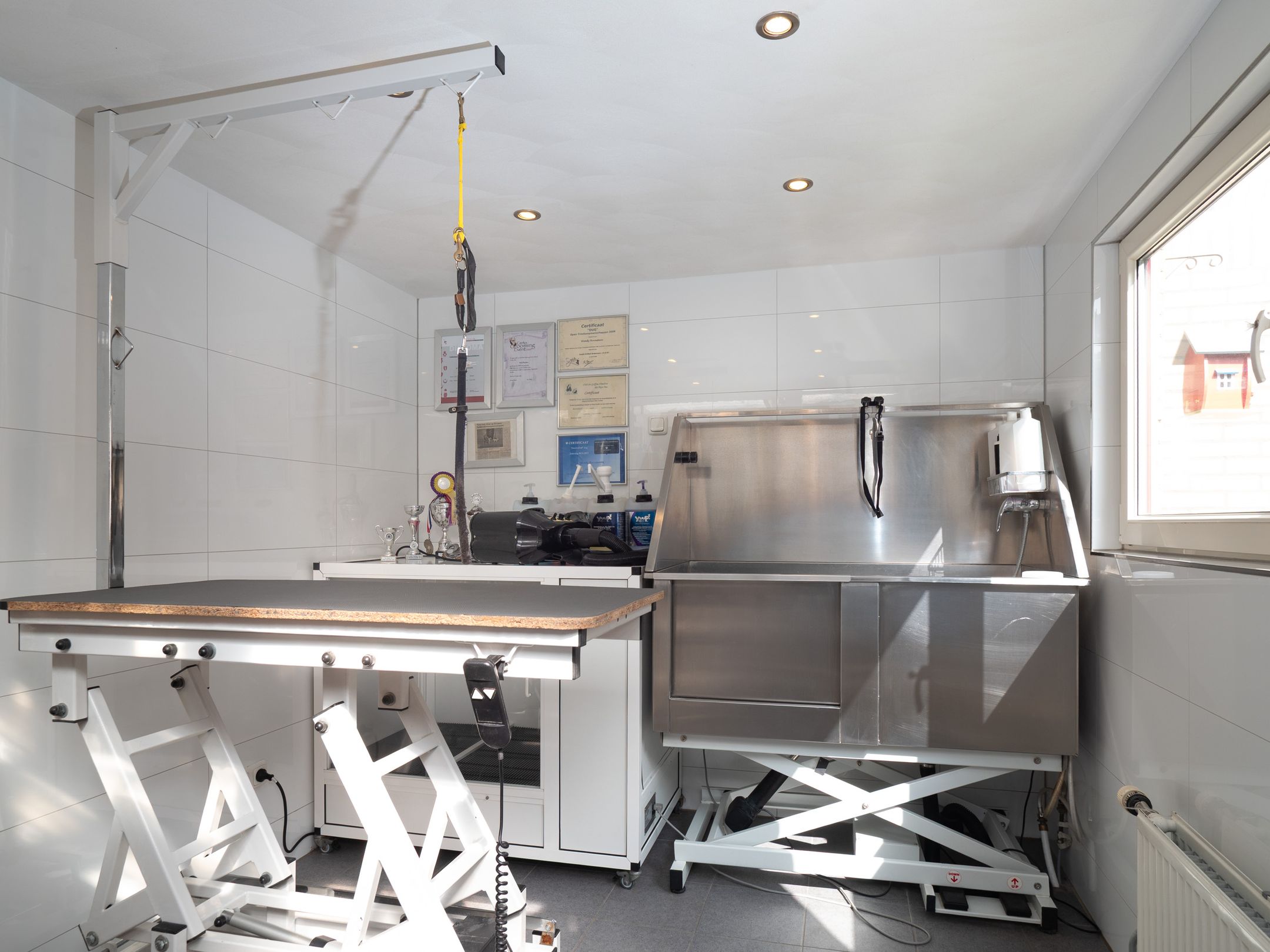 Photo 21 of Harpstraat 16