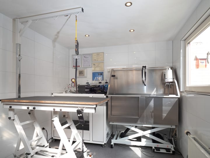 Foto 21 van Harpstraat 16