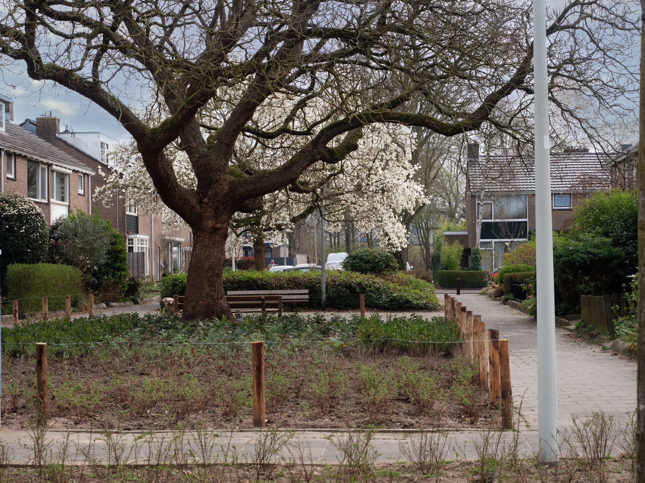 Photo 27 of Harpstraat 16