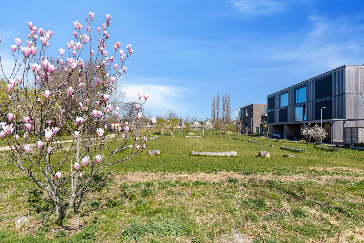 Foto 34 van Kwartelstraat 20