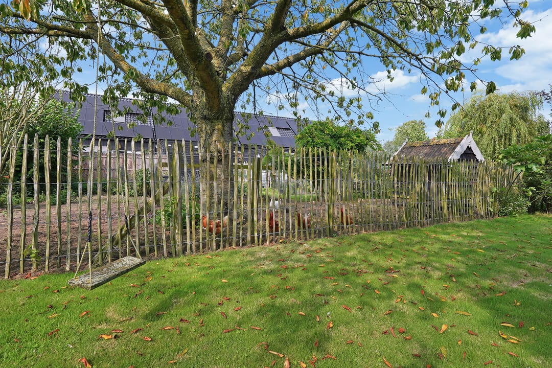 Foto 52 van Zuidwateringstraat 16