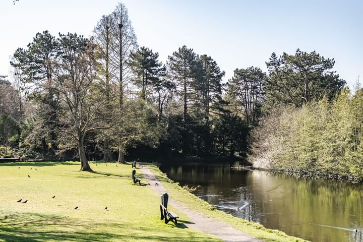 Photo 45 of Herfstlaan 4