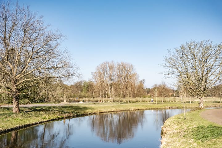 Photo 46 of Herfstlaan 4