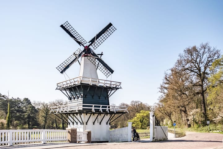 Photo 47 of Herfstlaan 4