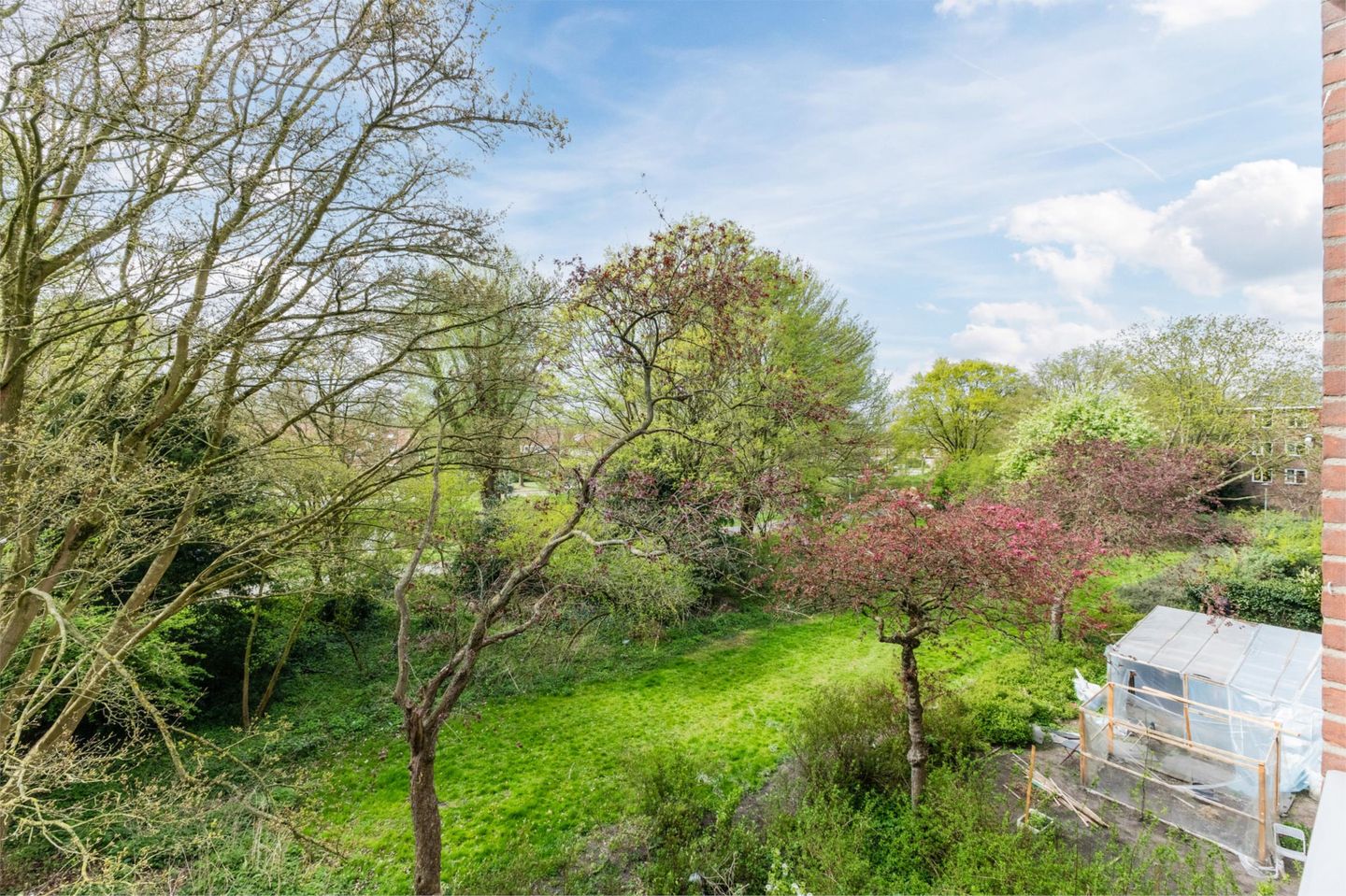 Photo 4 of Katrijpstraat 38