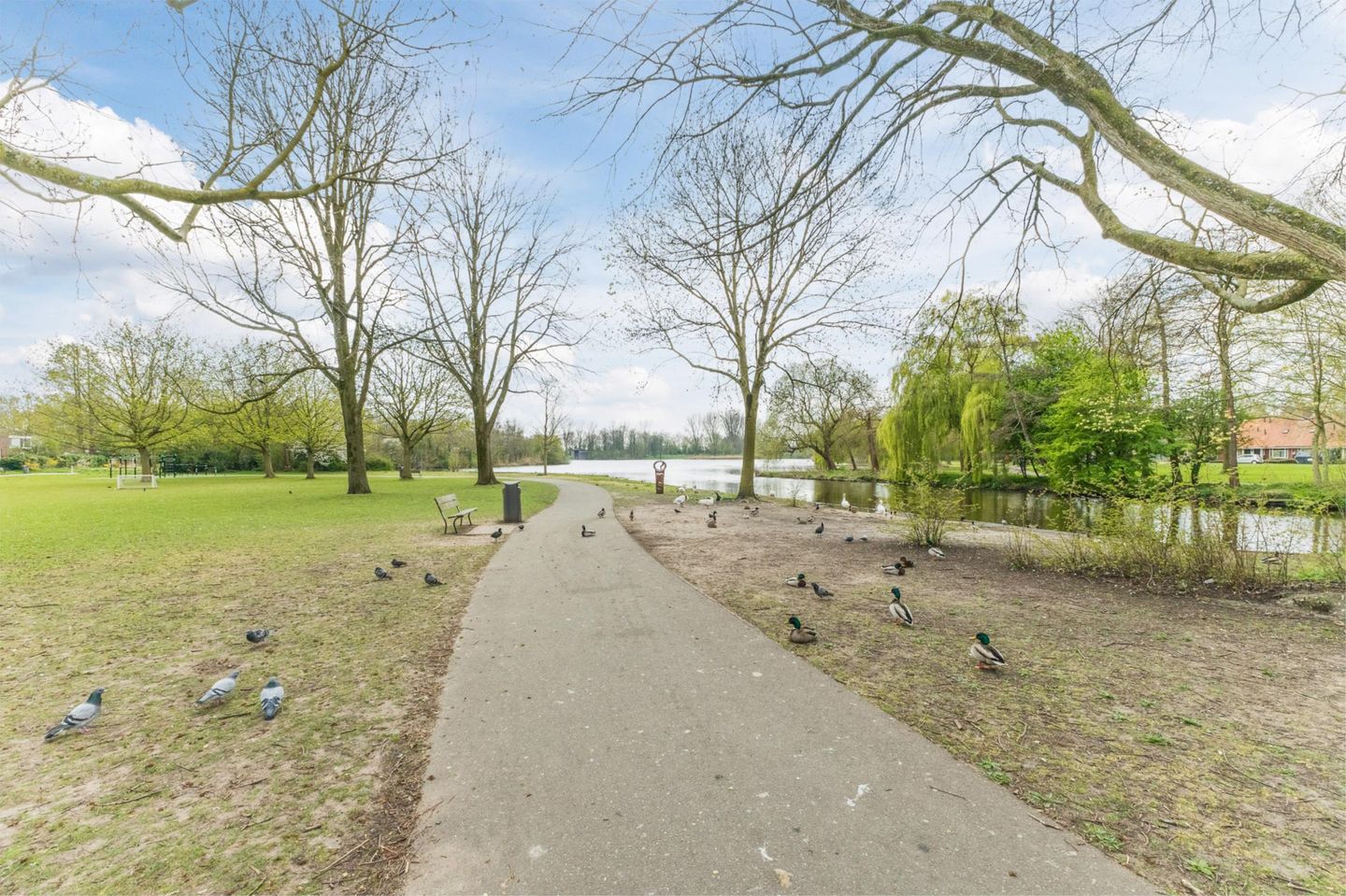 Photo 35 of Katrijpstraat 38