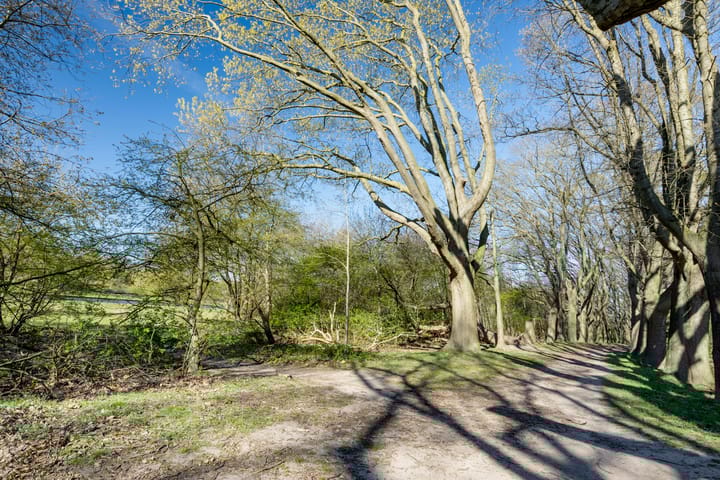 Foto 36 van Prinses Arianestraat 6