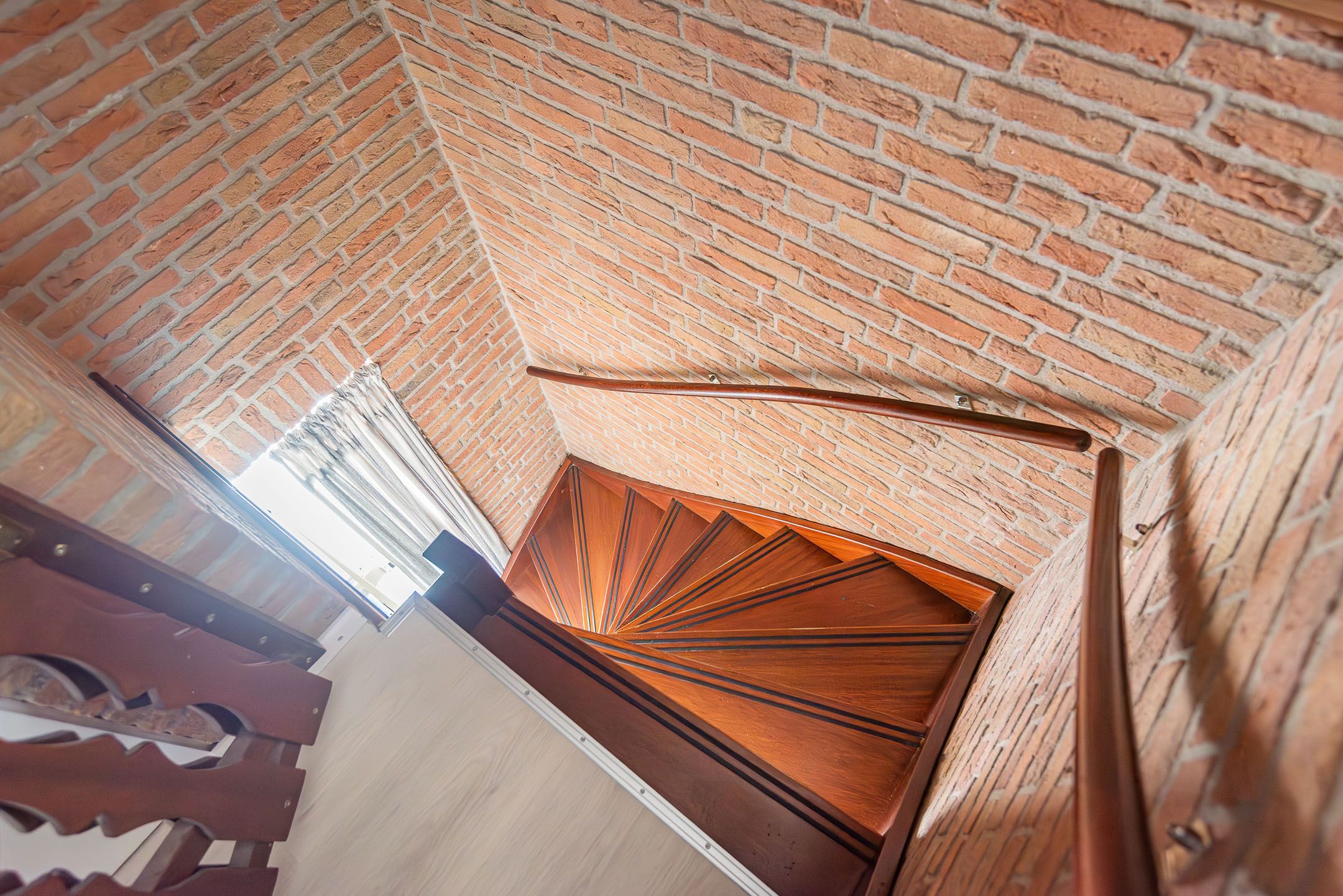 Foto 18 van Valeriaan 50