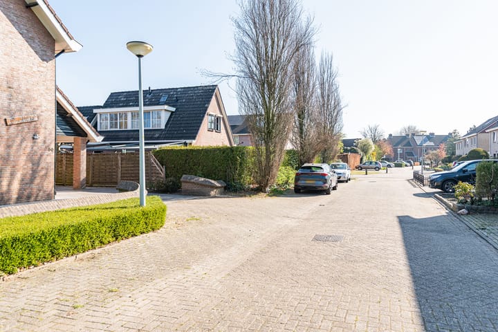 Foto 44 van Valeriaan 50