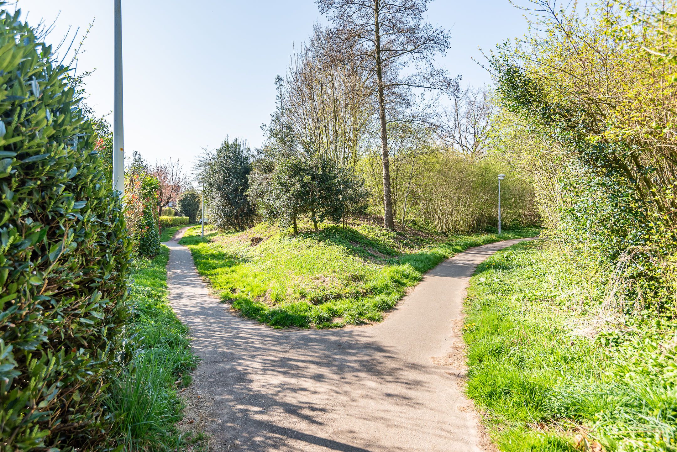 Foto 45 van Valeriaan 50