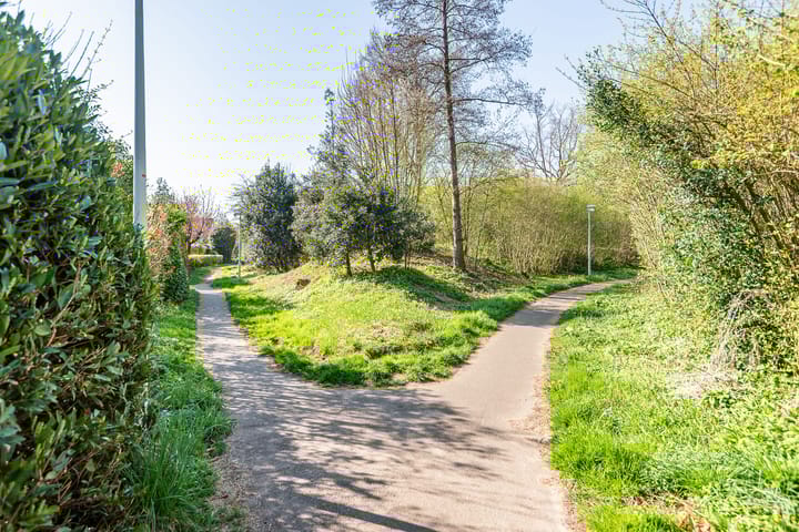 Foto 45 van Valeriaan 50