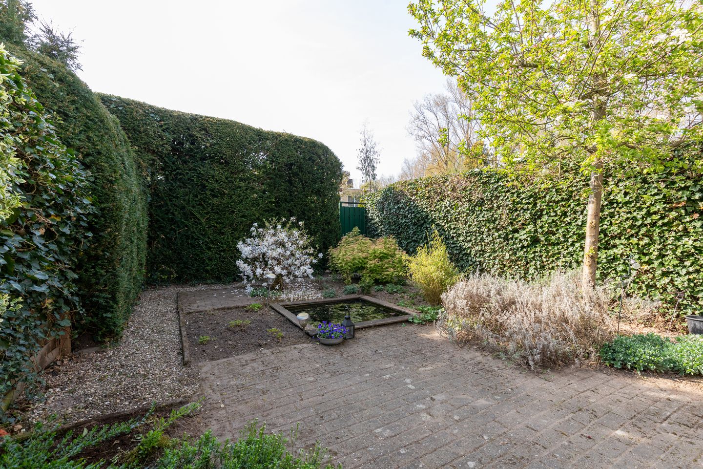 Foto 19 van Wolvegastraat 19