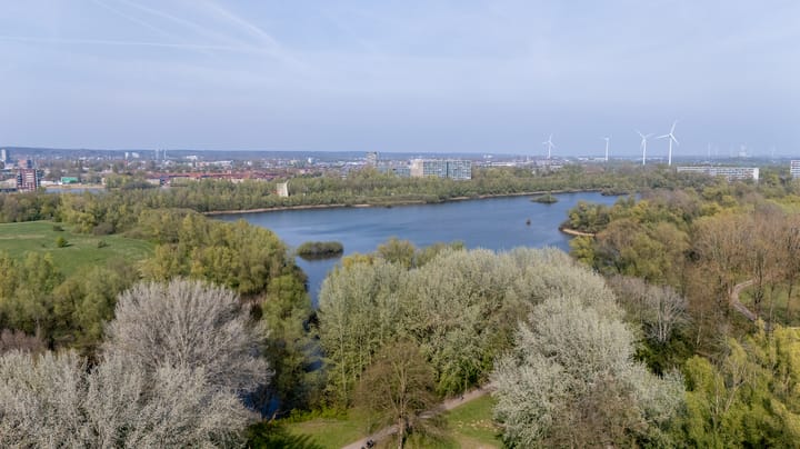 Photo 44 of Wolvegastraat 19