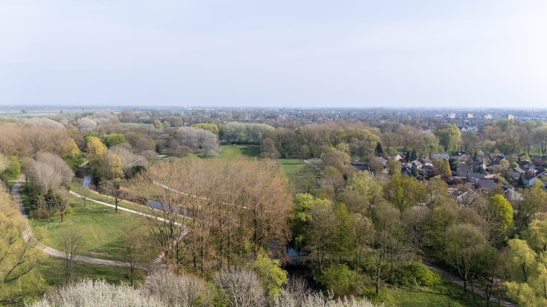 Foto 46 van Wolvegastraat 19