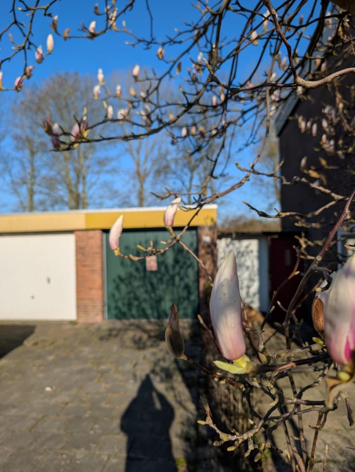 Foto 5 van Ferdinand Huyckstraat 25