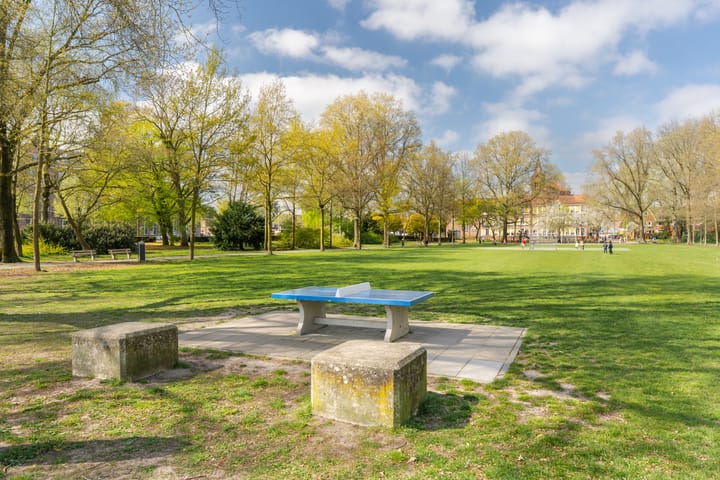 Foto 35 van Queridostraat 15