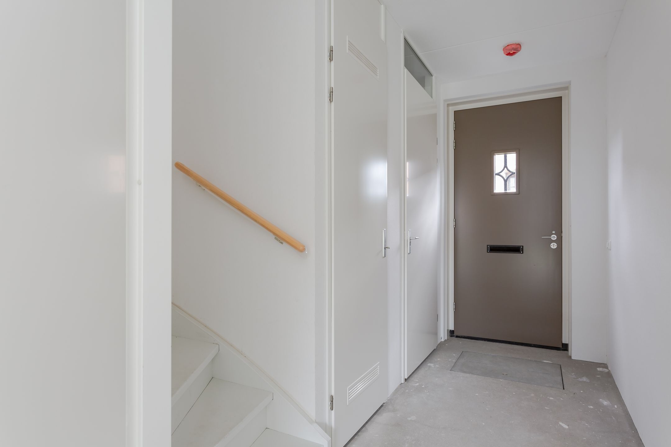 Foto 3 van Thomas Morelaan 20