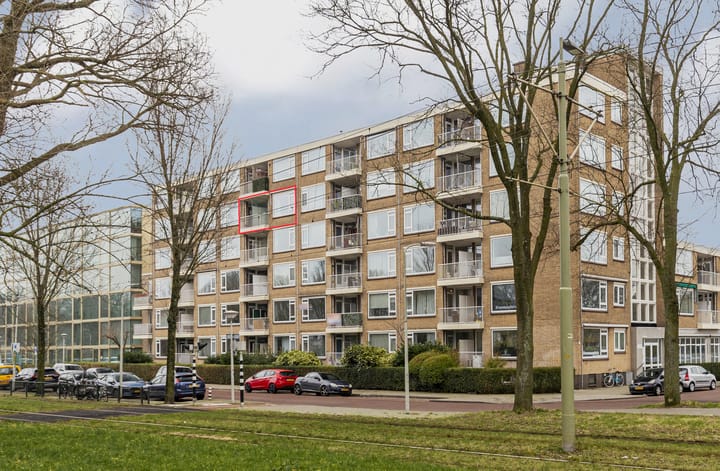 Foto 1 van Erasmusplein 203