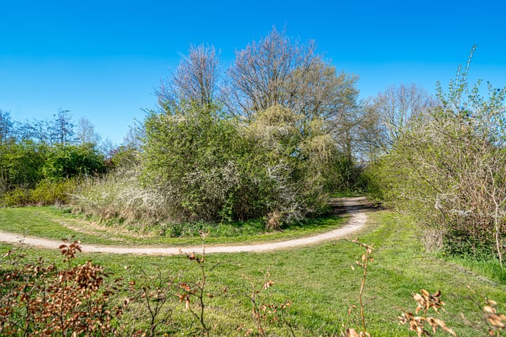 Foto 58 van Dorpsweide 46