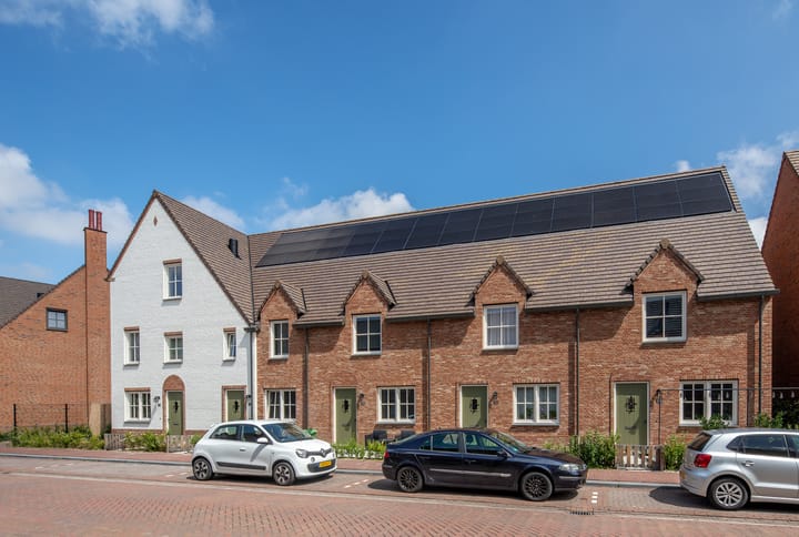 Photo 2 of Thomas Morelaan 20