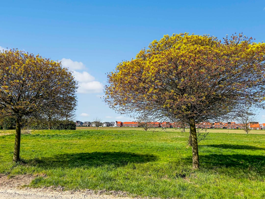 Foto 38 van Zwanenbloem 51