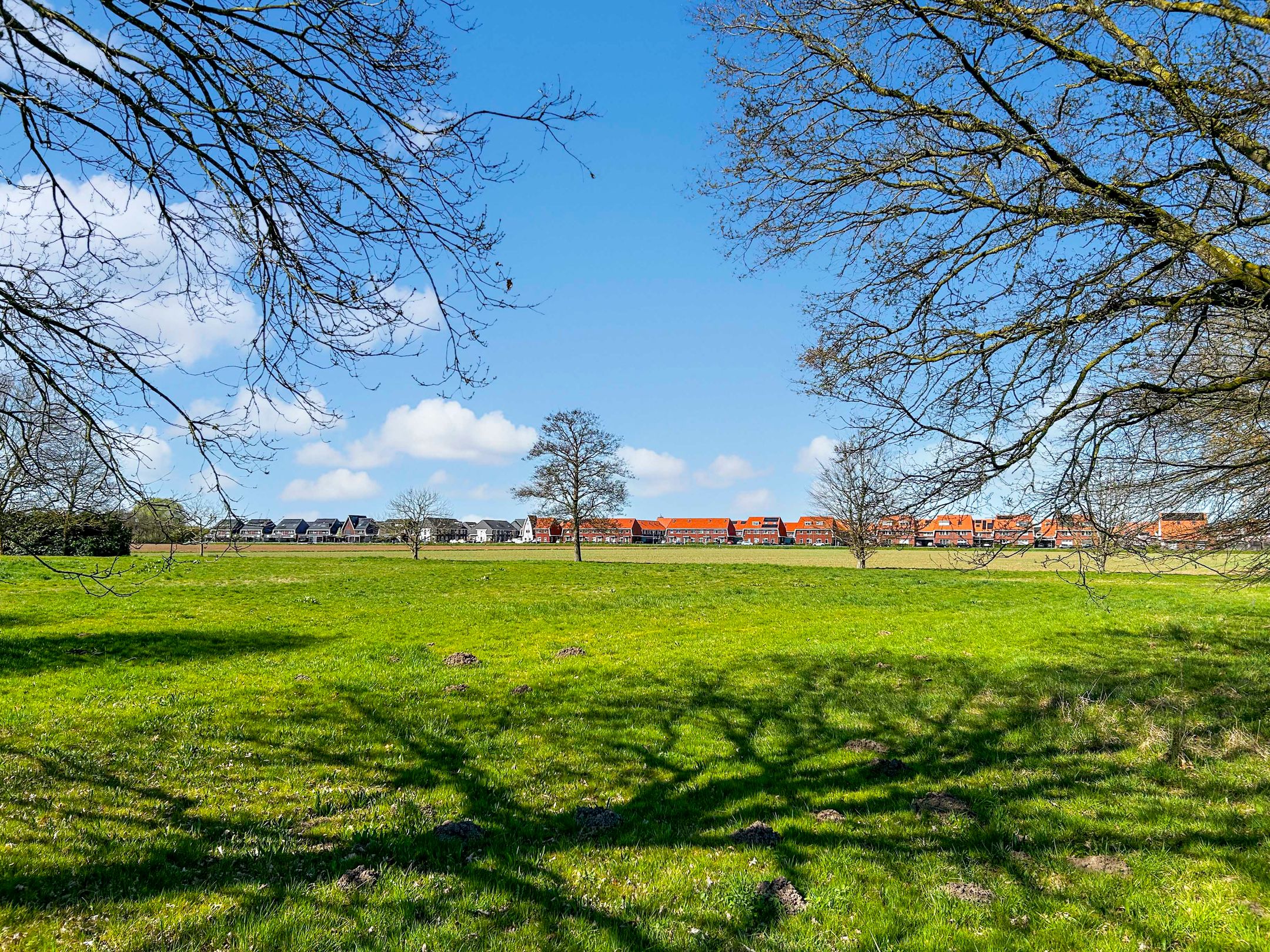 Foto 39 van Zwanenbloem 51