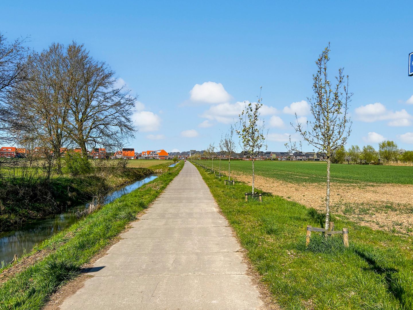 Foto 40 van Zwanenbloem 51