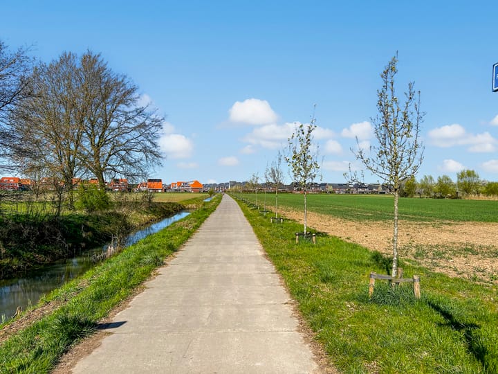 Foto 40 van Zwanenbloem 51